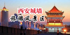 可以免费看操逼中国陕西-西安城墙旅游风景区