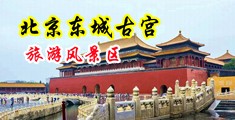 狂肏空姐屄穴中国北京-东城古宫旅游风景区